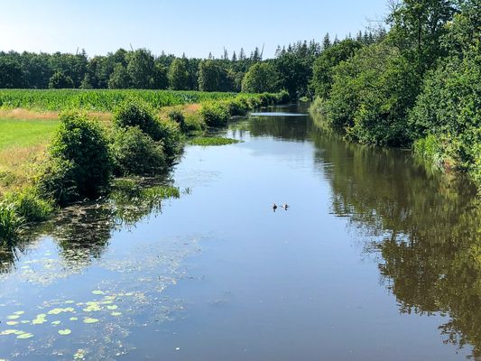 Foto 24 Ferienhaus Ostfriesland Norddeich & Umgebung Dat Fleetenkiekerhus 2 (Objekt 25818) Urlaub