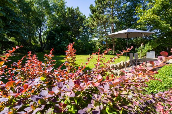 Foto 5 Ferienhaus Ostfriesland Nordfriesland Ferienhaus Bauernkate Basstölpel (Objekt 77873) Reise