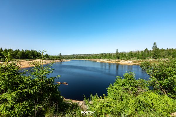 Landschaft