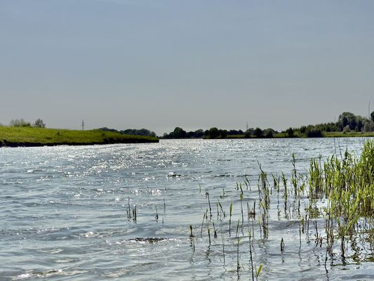Foto 58 Ferienhaus Ostfriesland Friesland Haus Hölle **** - Hohenkirchen (Objekt 26206) Nordsee
