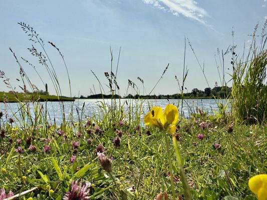 Foto 62 Ferienhaus Ostfriesland Friesland Haus Hölle **** - Hohenkirchen (Objekt 26206) suchen