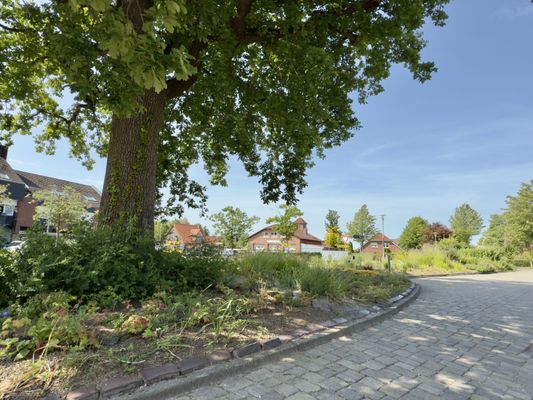 Foto 64 Ferienhaus Ostfriesland Friesland Haus Hölle **** - Hohenkirchen (Objekt 26206) Urlaub