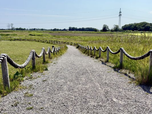 Foto 72 Ferienhaus Ostfriesland Friesland Haus Hölle **** - Hohenkirchen (Objekt 26206) suchen