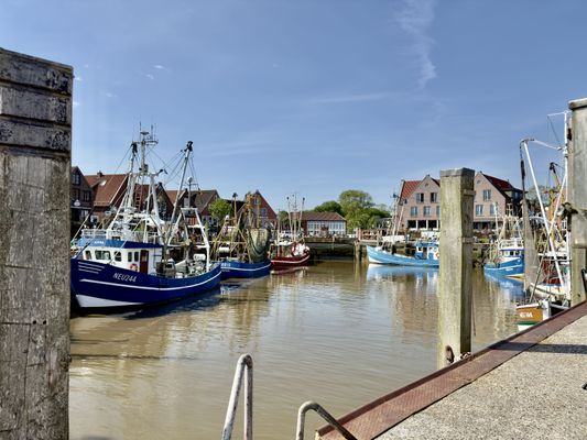 Foto 47 Ferienwohnung Ostfriesland Neuharlingersiel & Umgebung Gulfhof Butendiek - Buurnstuuv (Objekt 61515) suchen
