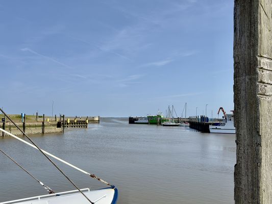 Foto 29 Ferienwohnung Ostfriesland Neuharlingersiel & Umgebung Gulfhof Butendiek - Groot Kostall (Objekt 61511) Urlaub