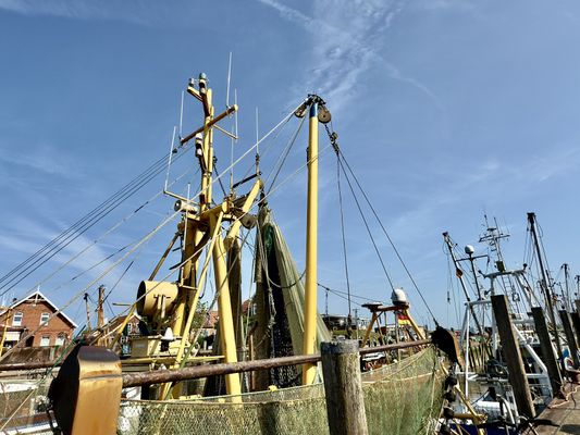 Foto 31 Ferienwohnung Ostfriesland Neuharlingersiel & Umgebung Gulfhof Butendiek - Lütt Kostall (Objekt 61510) buchen