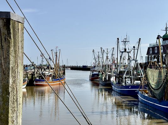 Foto 33 Ferienwohnung Ostfriesland Neuharlingersiel & Umgebung Gulfhof Butendiek - Lütt Kostall (Objekt 61510) Nordsee