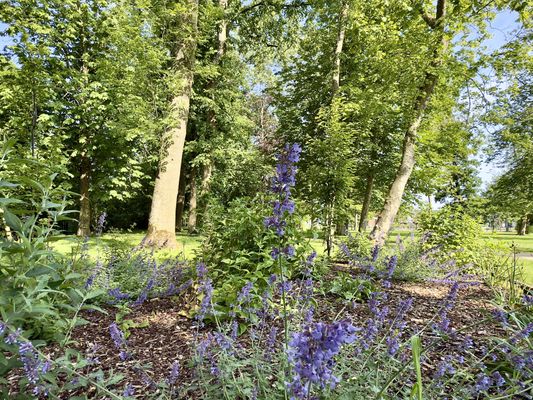 Foto 49 Ferienwohnung Ostfriesland Neuharlingersiel & Umgebung Gulfhof Butendiek - Lütt Stuuv (Objekt 61512) Urlaub