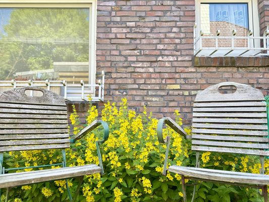 Foto 52 Ferienhaus Ostfriesland Wilhelmshaven Haus Anschütz - Wilhelmshaven (Objekt 69248) suchen