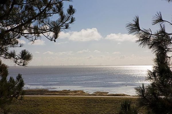 Foto 13 Ferienwohnung Ostfriesland Norderney Hölscher 2 (Objekt 78811) Nordsee