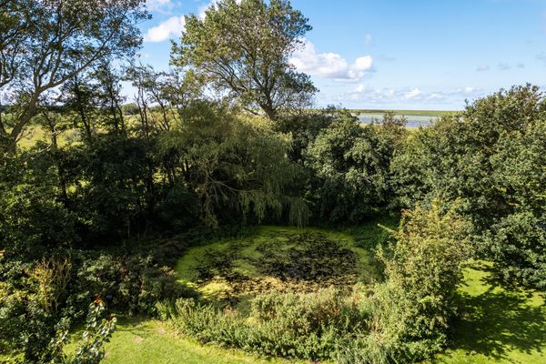 Gartenblick