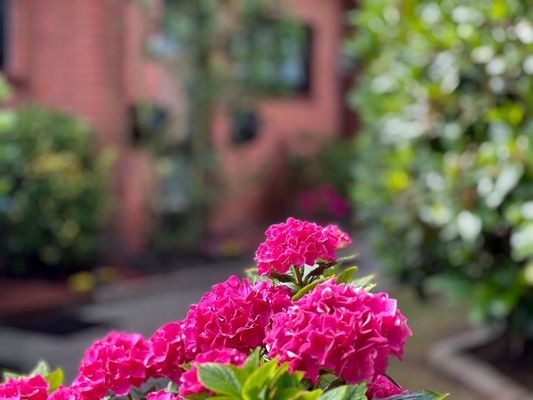 Foto 37 Ferienwohnung Ostfriesland Sylt Herzmuschel Tinnum (Objekt 61981) suchen