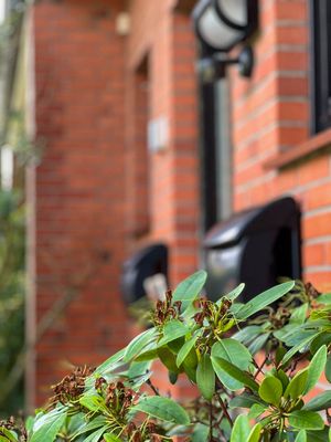 Foto 42 Ferienwohnung Ostfriesland Sylt Herzmuschel Tinnum (Objekt 61981) suchen