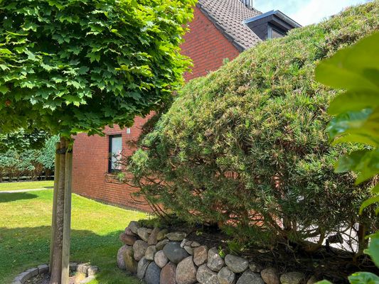 Foto 43 Ferienwohnung Ostfriesland Sylt Herzmuschel Tinnum (Objekt 61981) Nordsee