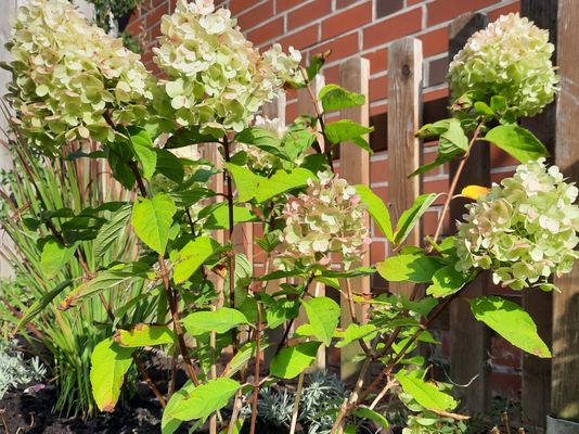 Foto 33 Ferienhaus Ostfriesland Norddeich & Umgebung Ferienhaus Levenslüst (Objekt 26015) Nordsee