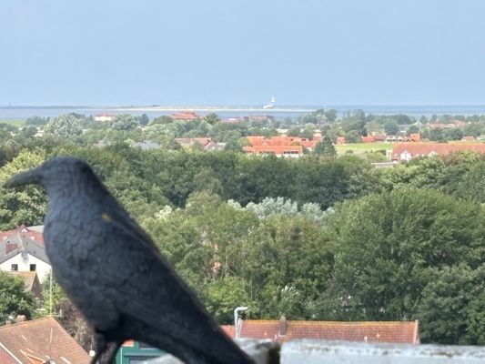 Foto 7 Ferienwohnung Ostfriesland Friesland Tief 10 mit beheiztem Pool - Meerengel 1001 (Objekt 81007) suchen