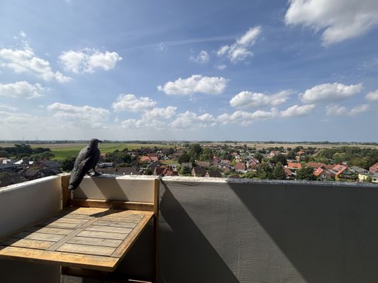 Foto 18 Ferienwohnung Ostfriesland Friesland Tief 10 mit beheiztem Pool - Meerengel 1001 (Objekt 81007) Nordsee