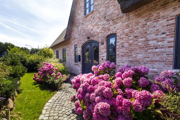 Foto 5 Ferienhaus Ostfriesland Nordfriesland Ferienhaus Krabbenhuus (Objekt 77910) Reise