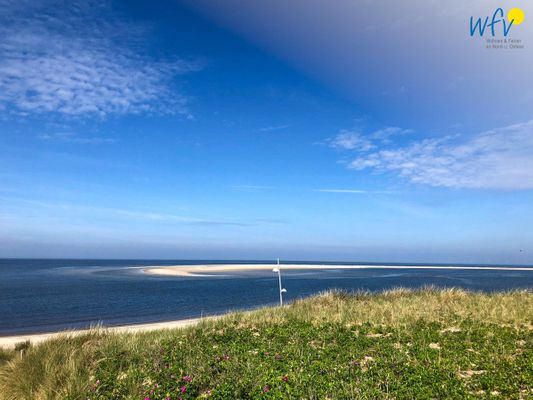 Foto 12 Ferienwohnung Ostfriesland Borkum Strandhus Ferienwohnung MeerZeit (Objekt 81782) suchen