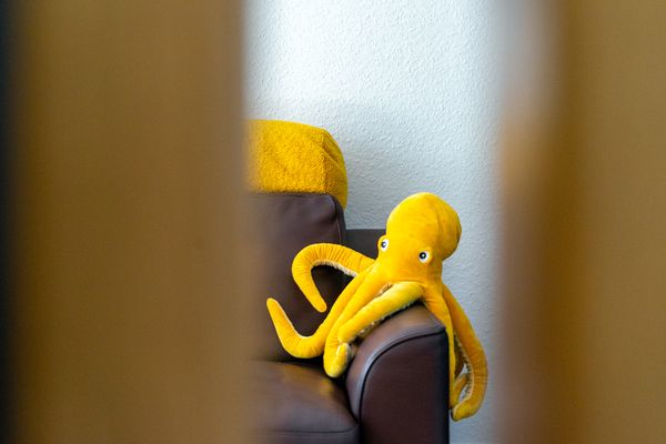 Foto 37 Ferienwohnung Ostfriesland Krummhörn & Umgebung Oktopus (Objekt 60462) suchen