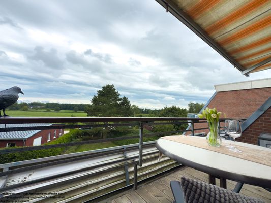 Foto 21 Ferienwohnung Ostfriesland Friesland FeWo Meeresgrün - Horumersiel (Objekt 36436) buchen