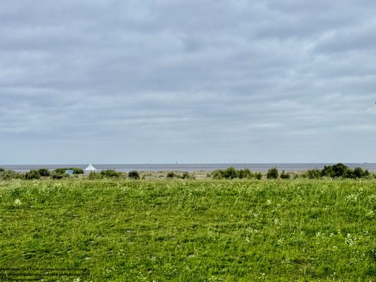 Foto 40 Ferienwohnung Ostfriesland Friesland FeWo Inselkieker 212 - Schillig (Objekt 26323) Reise