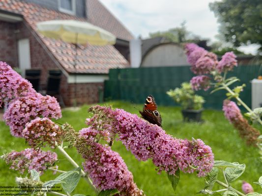 Foto 24 Ferienhaus Ostfriesland Friesland Haus Küstenliebe - Hooksiel (Objekt 35812) Urlaub