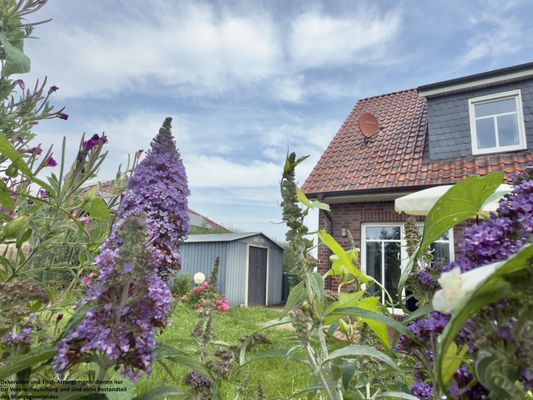 Foto 49 Ferienhaus Ostfriesland Friesland Haus Küstenliebe - Hooksiel (Objekt 35812) Urlaub