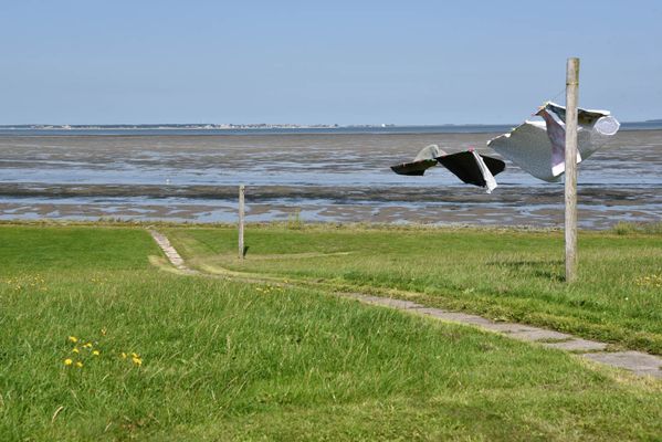 Foto 14 Ferienwohnung Ostfriesland Halligen Langeneß und Oland Hallig Hüs 2 (Objekt 64005) Urlaub