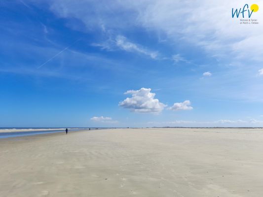 Foto 13 Ferienwohnung Ostfriesland Borkum Strandhus Ferienwohnung Panorama Ausblick (Objekt 81847) Nordsee