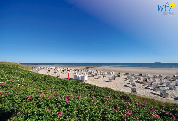 Foto 18 Ferienwohnung Ostfriesland Wangerooge Haus Panorama Ferienwohnung Strandkieker (Objekt 83617) Nordsee