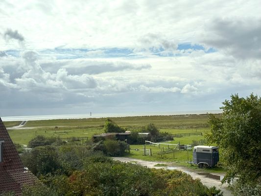 Foto 5 Ferienwohnung Ostfriesland Norderney Alter Horst, App. Seeblick (Objekt 68785) Reise