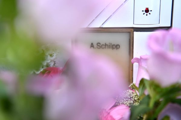 Foto 47 Ferienwohnung Ostfriesland Sylt Herzmuschel (Objekt 61980) suchen