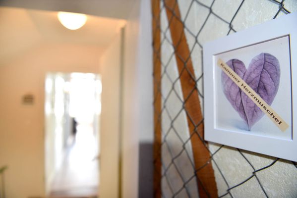 Foto 43 Ferienwohnung Ostfriesland Sylt Herzmuschel (Objekt 61980) Nordsee