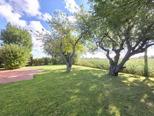 Foto 18 Ferienhaus Ostfriesland Norddeich & Umgebung Komfortferienhaus Küstenruhe Norddeich (Objekt 83378) Nordsee