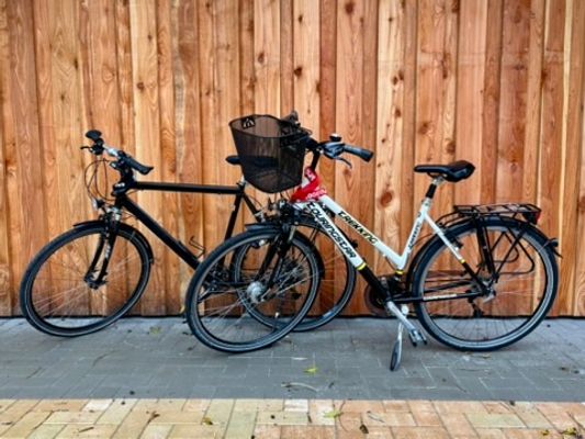 Foto 13 Ferienwohnung Ostfriesland Friesland Gulfhof Wangermeer 4 Hygge (Objekt 81263) Nordsee