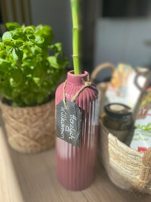 Foto 12 Ferienwohnung Ostfriesland Borkum Ria´s BeachVilla Ferienwohnung Sky (Objekt 82888) suchen