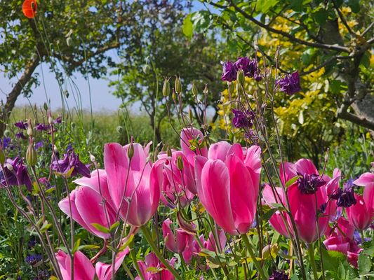 Foto 24 Ferienwohnung Ostfriesland Dornum & Umgebung Ferienwohnung Pabst - Dittmann (Objekt 85296) Urlaub