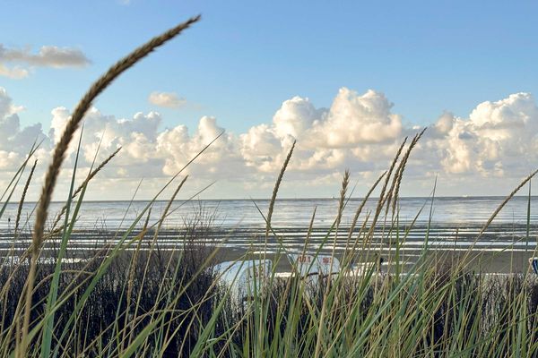 Foto 26 Ferienwohnung Ostfriesland Zwischen Elbe und Weser Diekhus Ferienwohnung 2 (DH02) (Objekt 92297) buchen