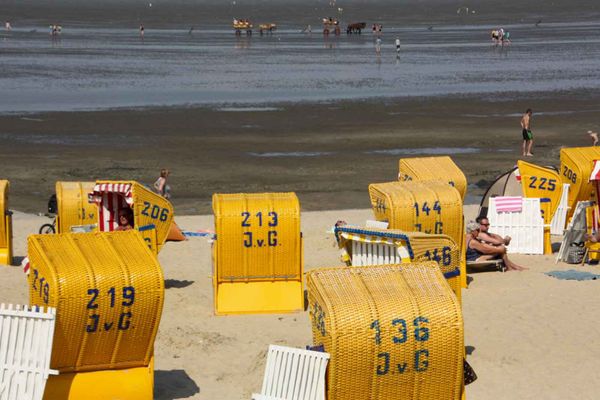 Foto 29 Ferienwohnung Ostfriesland Zwischen Elbe und Weser Residenz Hohe-Lith Ferienwohnung 205 (HLI205) (Objekt 61673) Urlaub