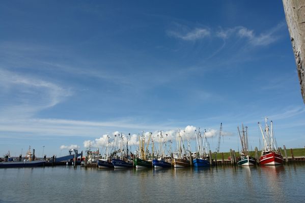 Foto 1 Ferienhaus Ostfriesland Norddeich & Umgebung Kutterstraße Nordseeharmonie II (Objekt 98811) buchen