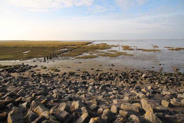 Foto 3 Ferienhaus Ostfriesland Norddeich & Umgebung Kutterstraße Nordseeharmonie II (Objekt 98811) Nordsee