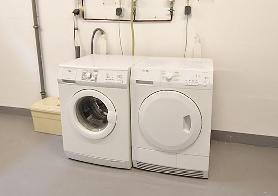 Foto 23 Ferienwohnung Ostfriesland Borkum Tagträumer (Objekt 93582) Nordsee