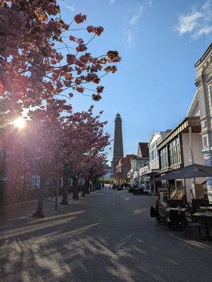 Foto 15 Ferienwohnung Ostfriesland Borkum Strandstraße Ferienwohnung Heimathafen (ehemals Toornkieker) (Objekt 36271) Reise