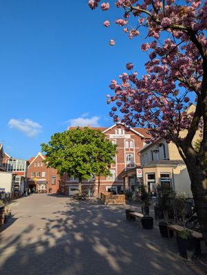 Foto 3 Ferienwohnung Ostfriesland Borkum Strandstraße Ferienwohnung Heimathafen (ehemals Toornkieker) (Objekt 36271) Nordsee