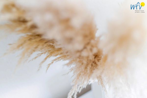 Foto 13 Ferienwohnung Ostfriesland Langeoog Haus Willrath-Dreesen-Straße 7 Ferienwohnung Wellenrauschen (Objekt 99744) Nordsee