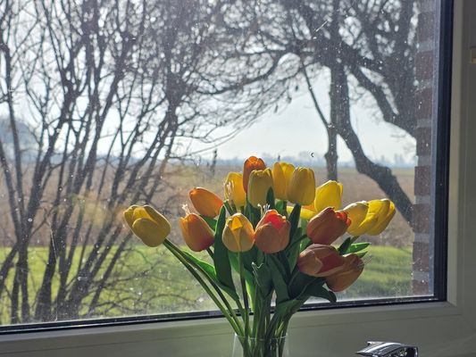 Foto 26 Ferienhaus Ostfriesland Norddeich & Umgebung Komfortferienhaus Küstenruhe Norddeich (Objekt 83378) buchen