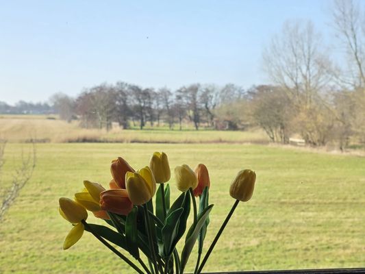 Foto 36 Ferienhaus Ostfriesland Norddeich & Umgebung Komfortferienhaus Küstenruhe Norddeich (Objekt 83378) buchen