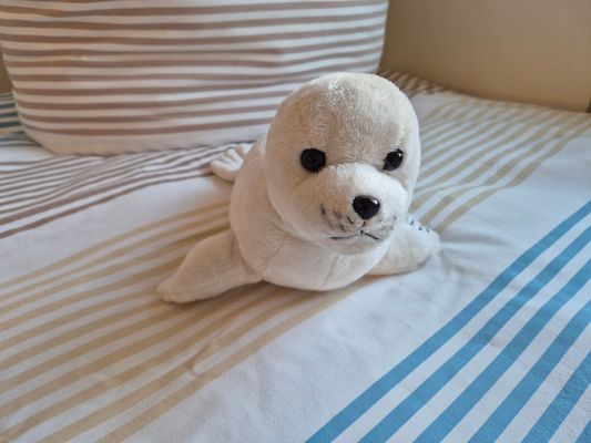 Foto 17 Ferienhaus Ostfriesland Norddeich & Umgebung FHVenusmuschel (Objekt 99645) suchen