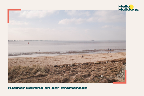 Strand, Kleine Möwe, Bremerhaven